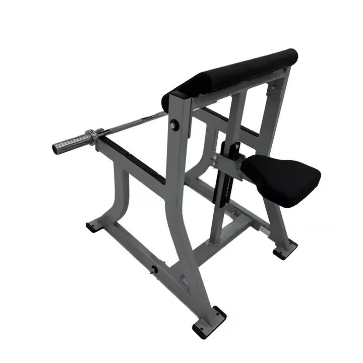Reverse Hyper Extension Gym Machine 200kg Steel Adjustable