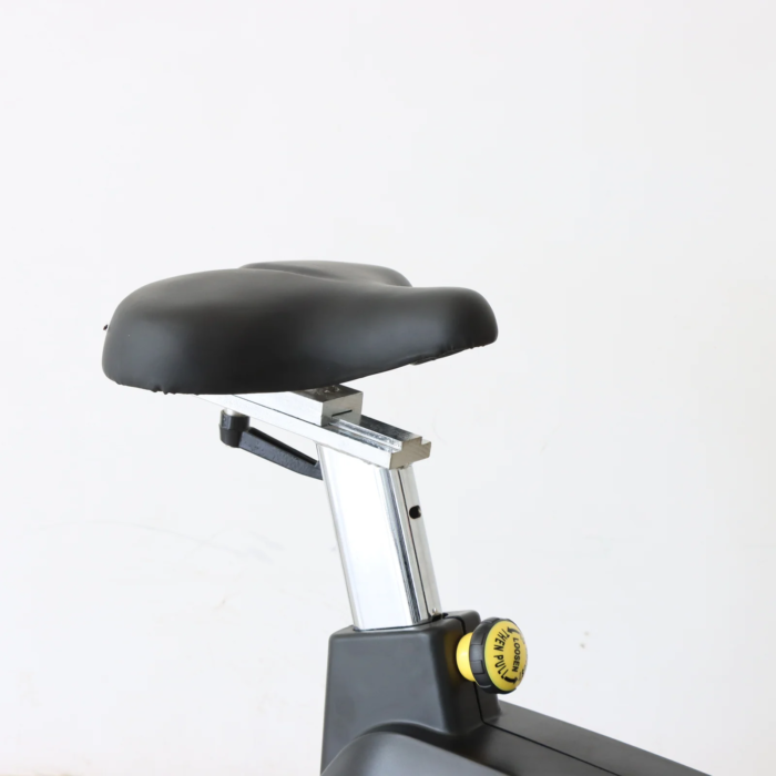 Gym Fitness Upright Exercise Bike Vertical Magnetic Control Cardio Machine - Image 3