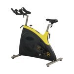 JS Magnetic Spinning Bike with Screen Home Gym Fitness