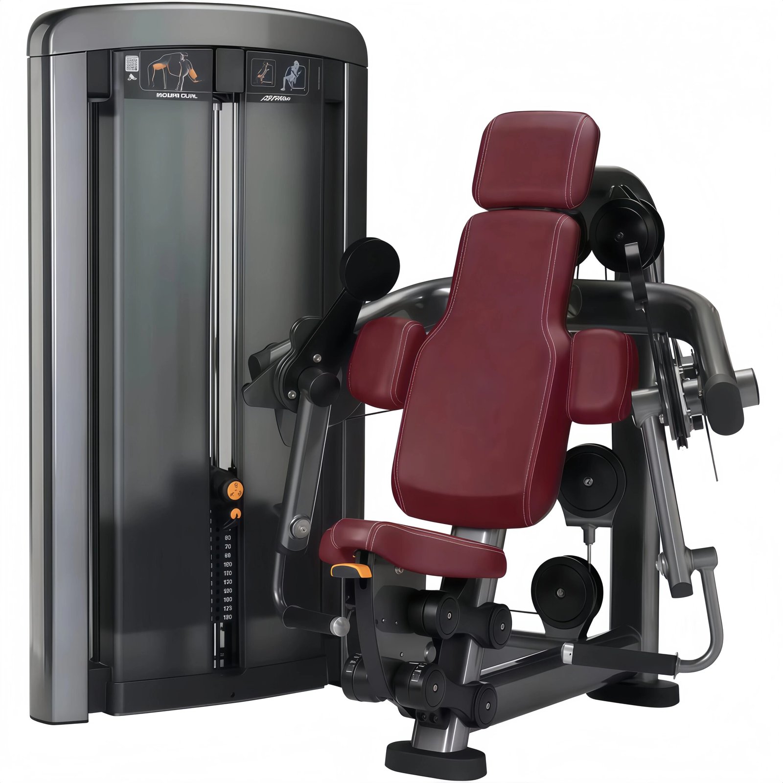 Chest & Biceps Trainer 300kg Capacity Adjustable Multi-Function Steel Exercise Machine for Home Gyms