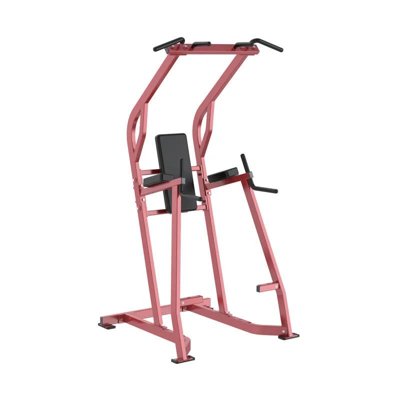 Multi Function Steel Gym Machine 200kg Capacity for Commercial Chin Dip Leg Raise Fitness