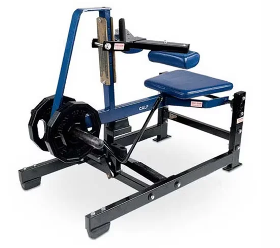 2019 Hammer Strength Seated Calf Raise Commercial Gym Equipment [WARN] draft identifier mismatch