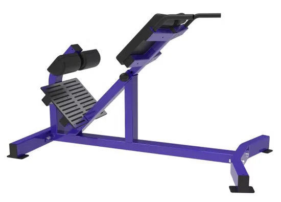 Commercial Back Extension Machine Gym Fitness Equipment