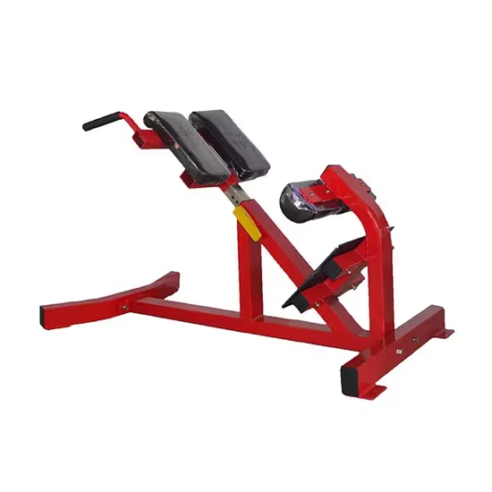Commercial Back Extension Machine Strength Gym Equipment for Gym Use