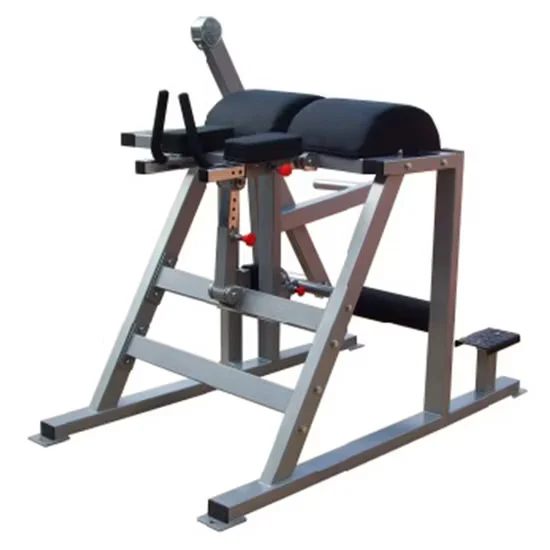Commercial Reverse Hyper Extension Indoor Gym Equipment