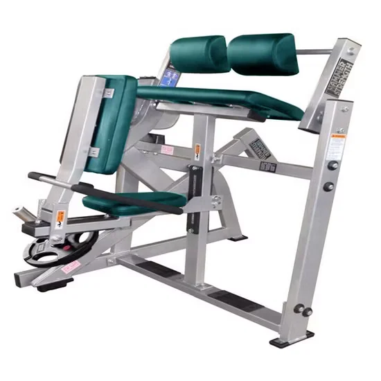 Commercial Seated Triceps Extension Machine Gym Equipment [WARN] draft identifier mismatch