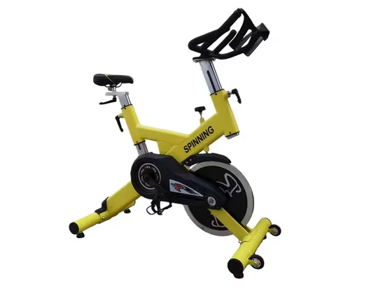 Commercial Spinning Bike Belt Drive Gym Equipment for Cardio Fitness [WARN] draft identifier mismatch