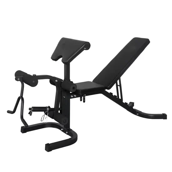 Custom Logo Adjustable Weight Bench with Leg Extension for Commercial Gym