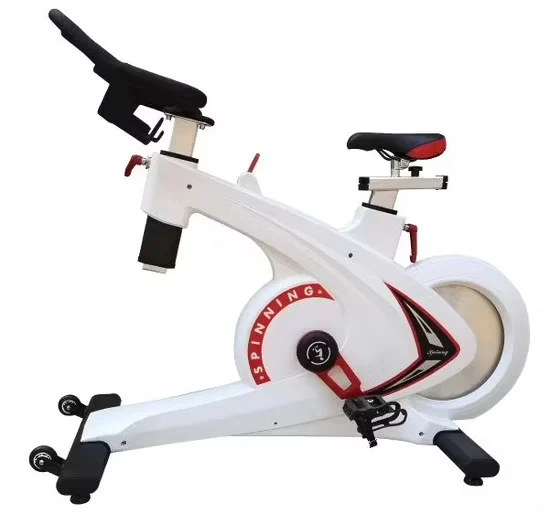 White Indoor Exercise Magnetic Resistance Fitness Gym Equipment Spinning Bike